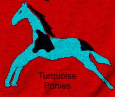 Turquoise_Ponies